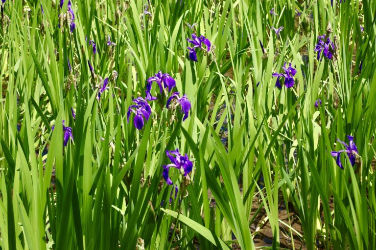 442399237_10161463846921950_5563681647218000697_n